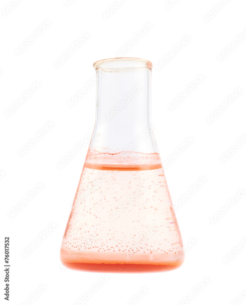 Erlenmeyer flask filled with liquid Erlenmeyer flask filled with liquid