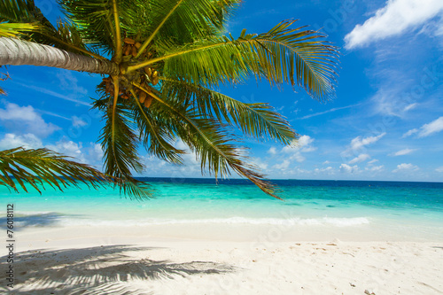 Rest in Paradise - Malediven - Palmenstrand, Himmel und Meer © hetwig