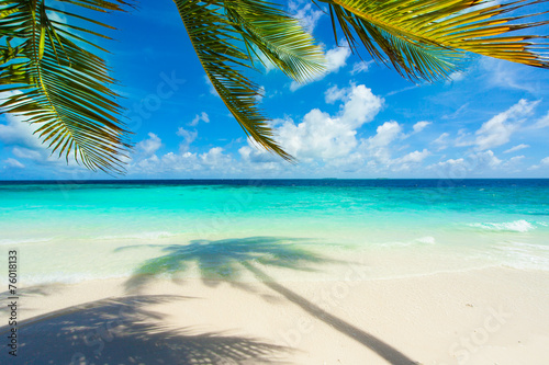 Rest in Paradise - Malediven - Palme, Palmenschatten, Strand