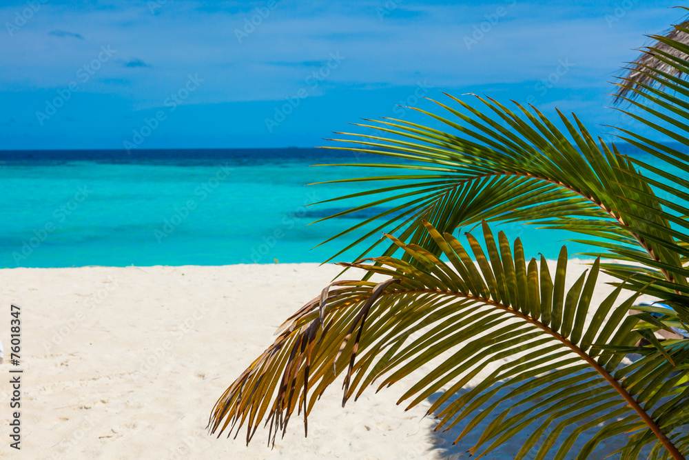 Fototapeta premium Rest in Paradise - Malediven - Palme, Strand und Meer