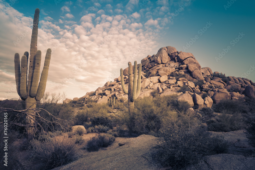 Wild desert landscape - obrazy, fototapety, plakaty 
