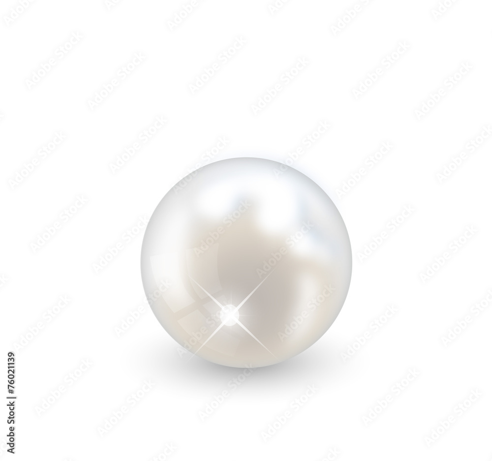 Beautiful realistic pearl illustration vector Beautiful realistic pearl illustration vector