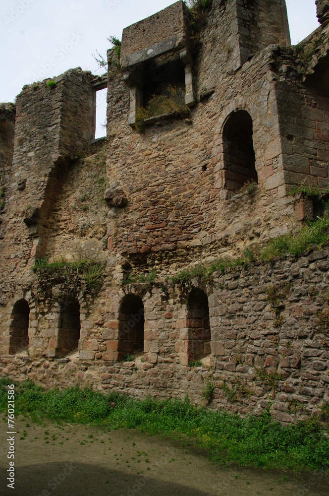 ruines du château de clisson
