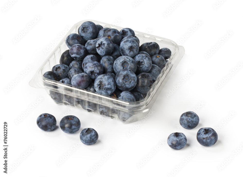 fresh blueberry from forest in plastic container fresh blueberry from forest in plastic container