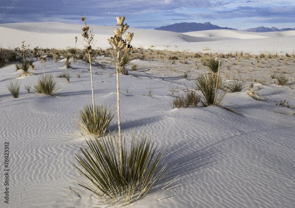 White Sands National Monument StockFoto Adobe Stock