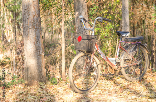 Beautiful landscape image with Bicycle