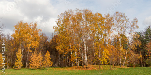 Autumn panoramic landscape in the park