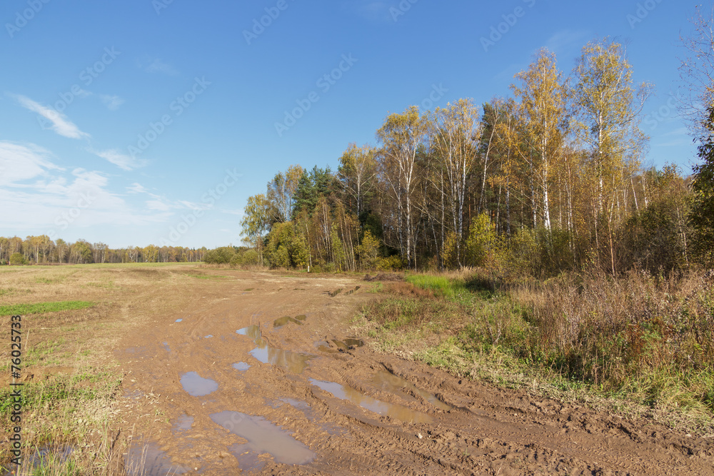 Dirty rutted dirt road on a sunny autumn day in the field Dirty rutted dirt road on a sunny autumn day in the field