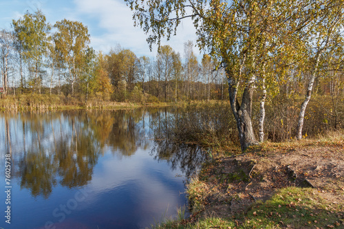 Landscape on the banks of the pond in golden autumn
