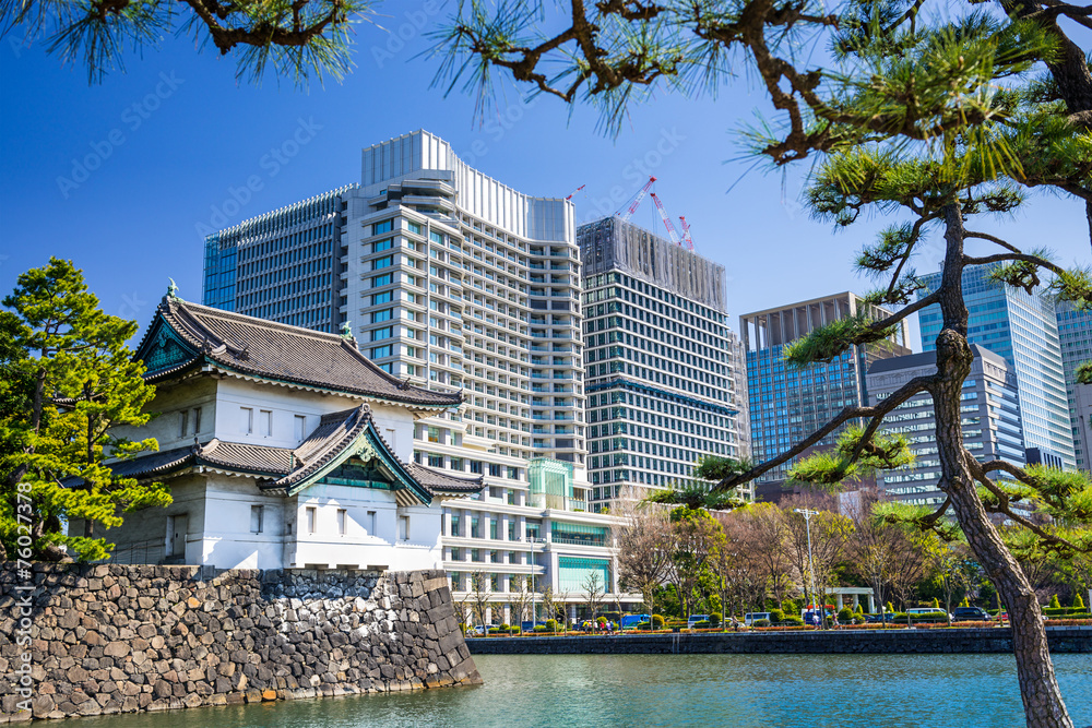 Fototapeta premium Tokyo Imperial Moat and Cityscape