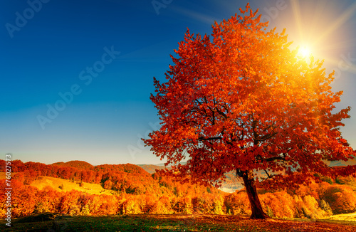 Colorful autumn landscape