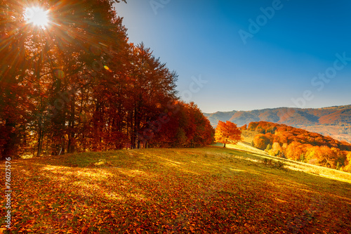 Colorful autumn landscape