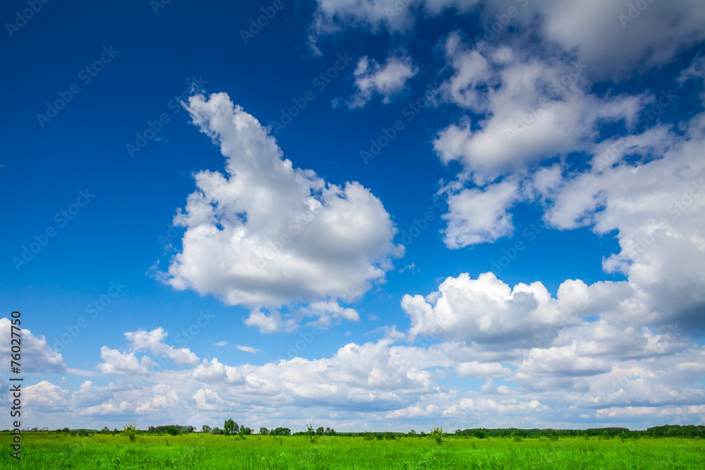 field on a background of the blue sky field on a background of the blue sky