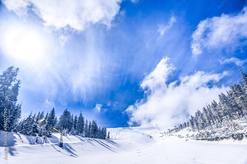 WInter Landscape WInter Landscape