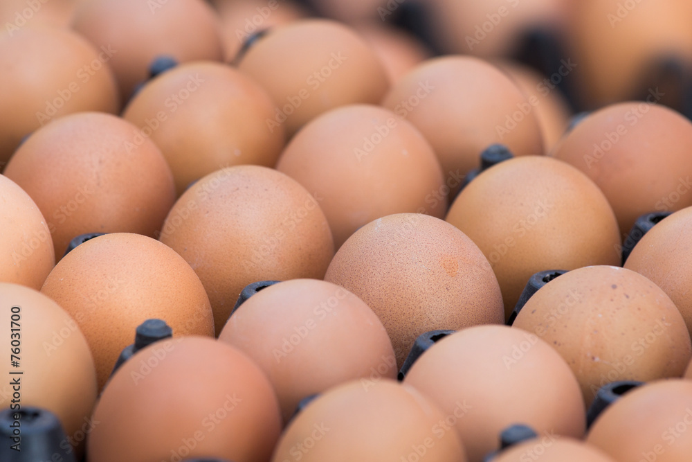 Eggs in package for sale in market Eggs in package for sale in market