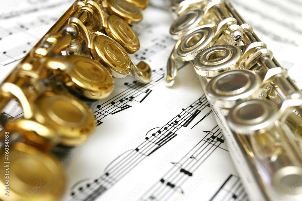 Obraz premium flutes