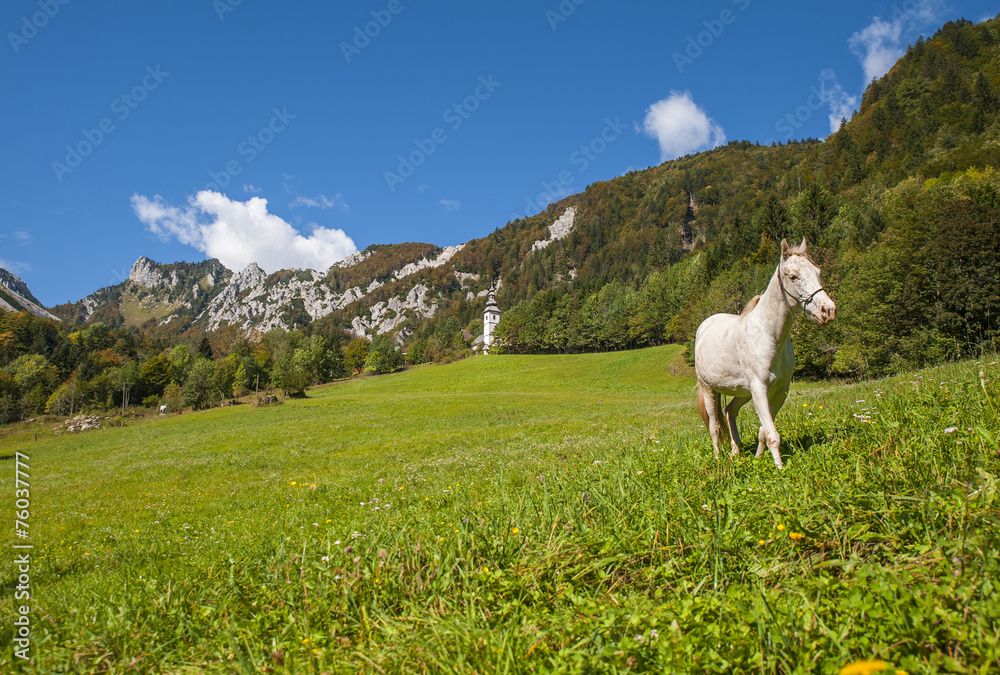 Fototapeta premium Ljubelj mountain pass, nature, Slovenia