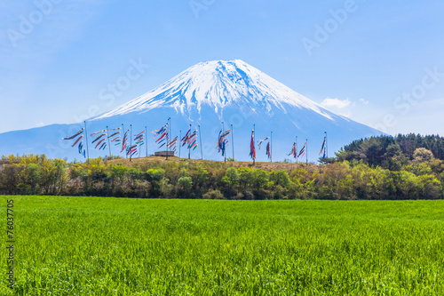 Colorful carp banners and Mount Fuji
