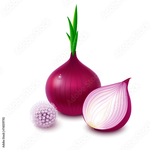 Red onion on white background with flower