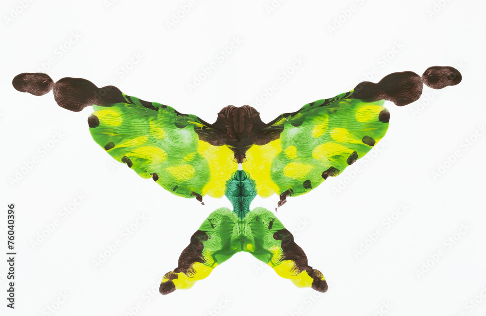 Fototapeta premium Acrylic butterfly