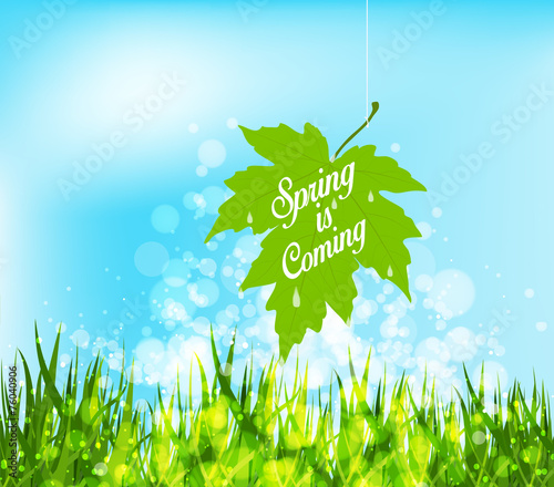 Spring is coming hanging leaf on a strings