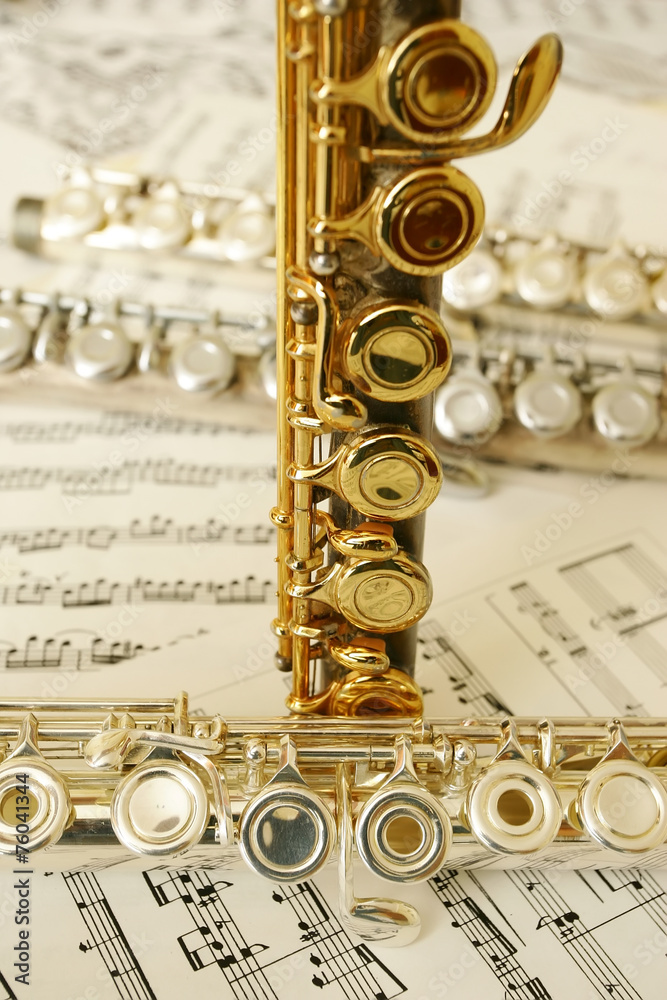 Obraz premium flutes