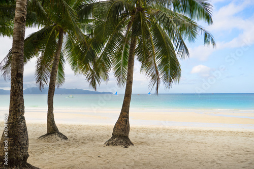 Beach with palms