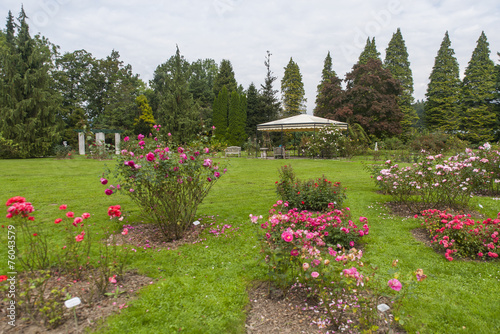 Botanical garden Volcji potok, arboretum, Kamnik, Slovenia photo