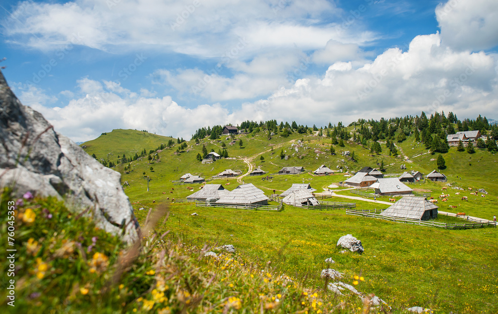 Obraz premium Velika Planina hill, Slovenia