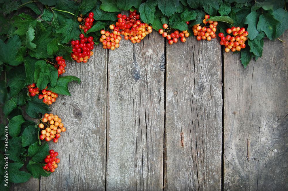 Fototapeta premium Decoration autumn frame.