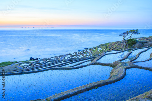 Rice terraces at twilight, Shiroyone senmaida photo