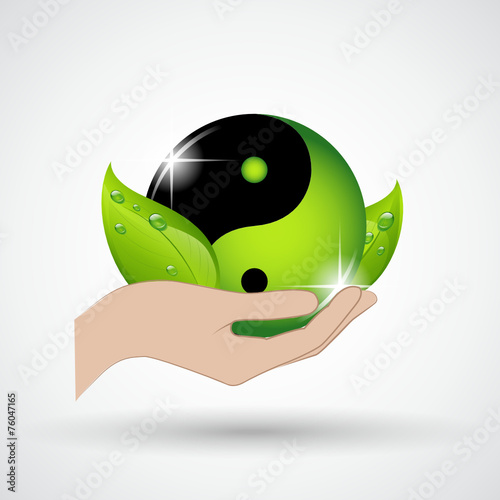 hald hält yin-yang