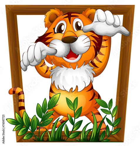 Tiger and frame
