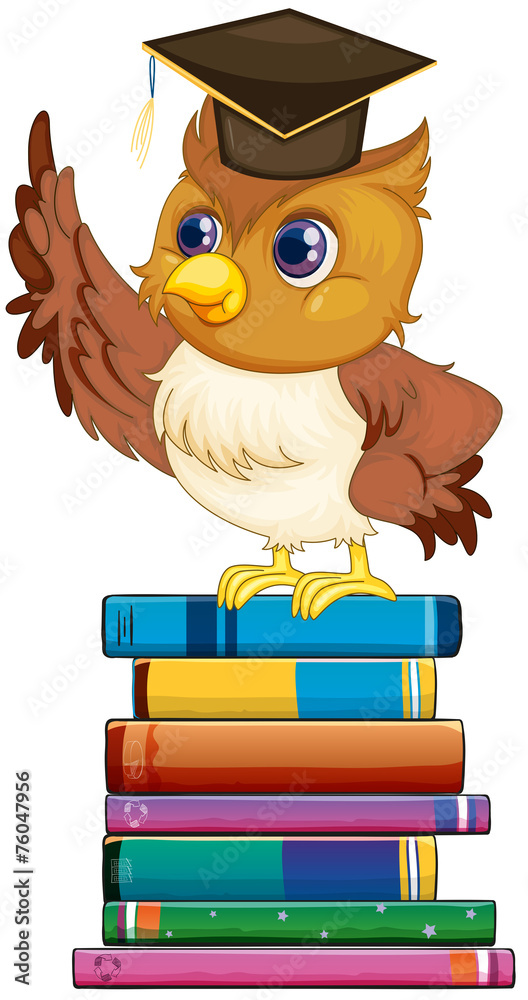 Naklejka premium Owl and books