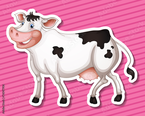 Cow