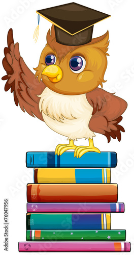 Owl and books