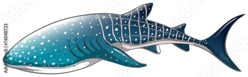 Whale shark