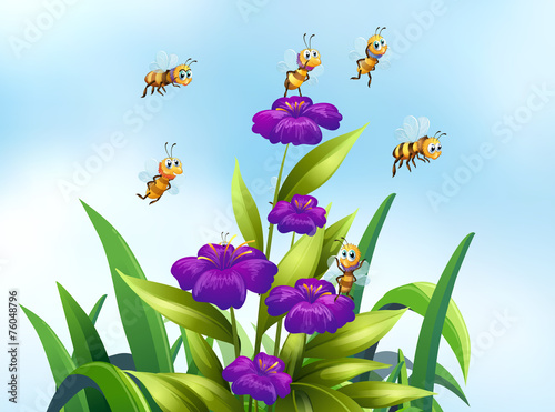 Bees and flower