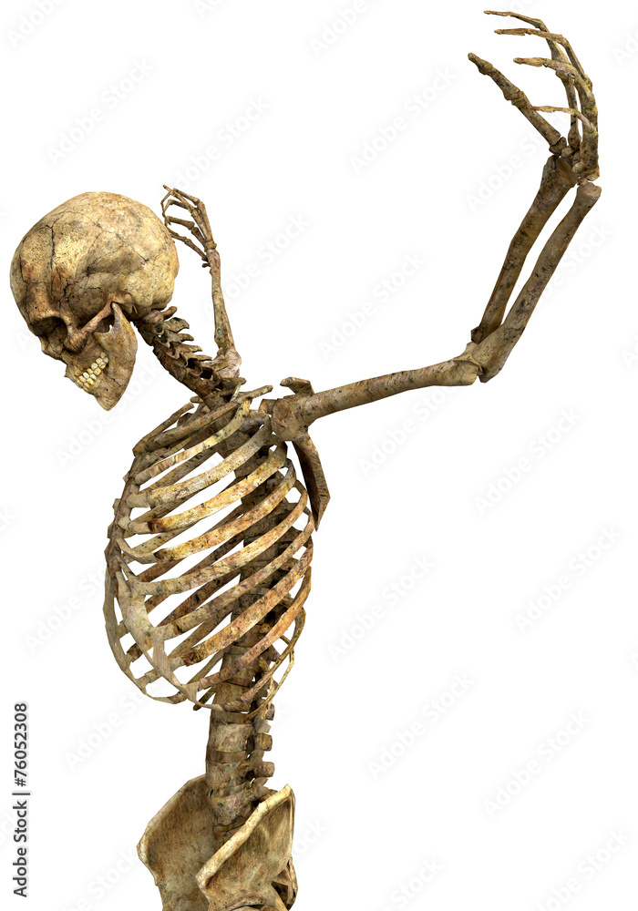 Fototapeta premium skeletonthe prayer close up
