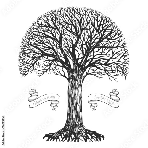 Silhouette of a tree