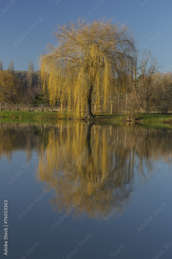 Reflets d'hiver sur l'eau Reflets d'hiver sur l'eau