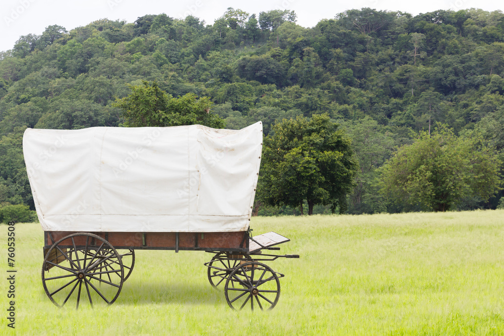 Covered wagon in fields