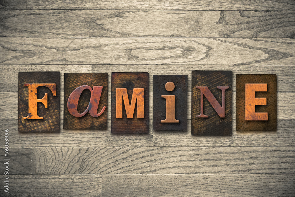 Fototapeta premium Famine Concept Wooden Letterpress Type