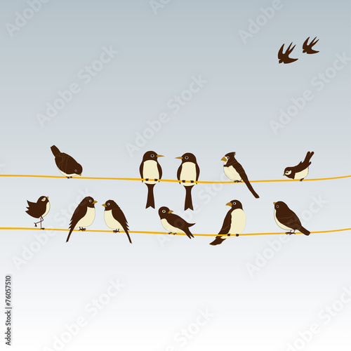 Cute birds on a wire