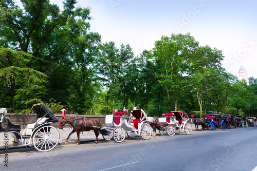 Central Park horse carriage rides in New York
