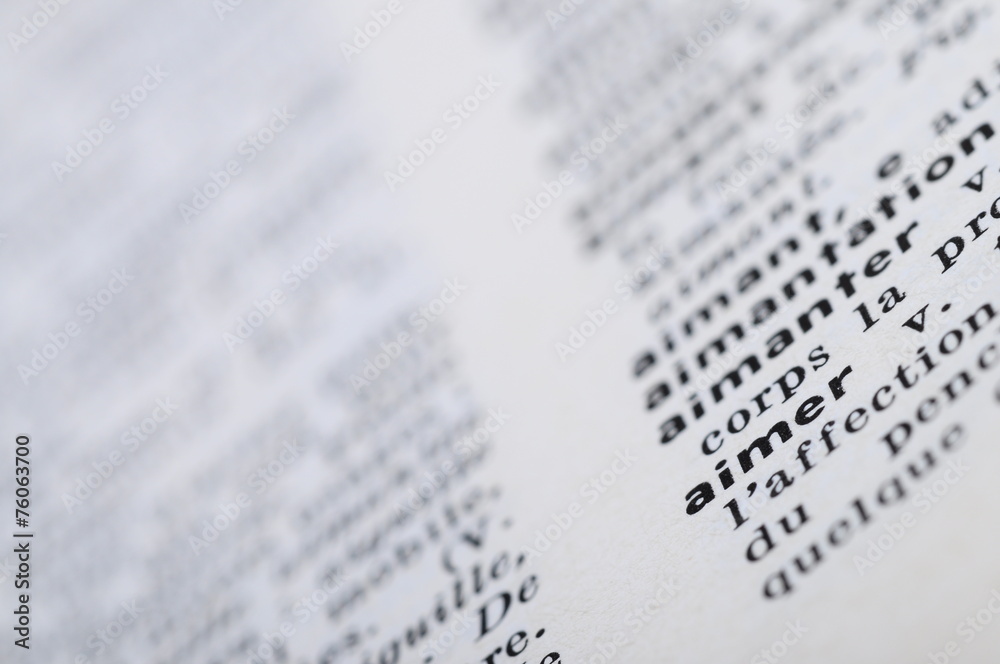 French Dictionary at the word Reading