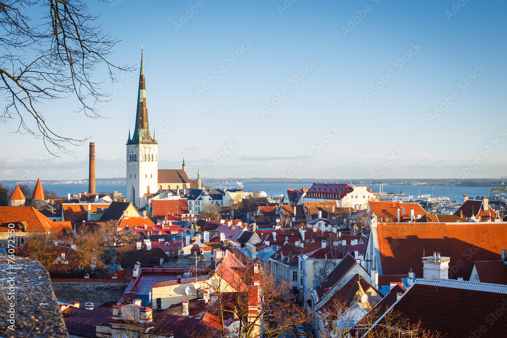 Fototapeta premium View of Tallinn from a survey platform