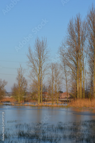 countryside marsh