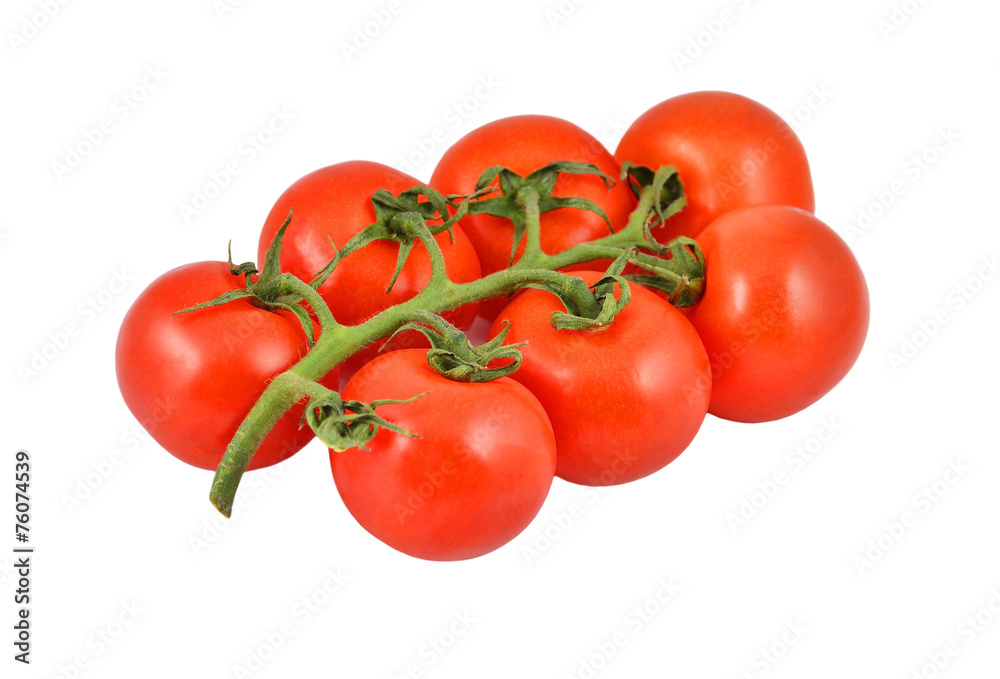 Branch of fresh tomato, isolated on white background Branch of fresh tomato, isolated on white background