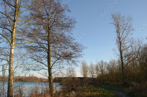 Trees on shore of lake Egleghem